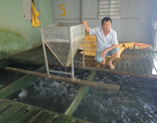 Nông dân tiếp tục gặp khó vì giá phân bón, thức ăn chăn nuôi... không chịu giảm theo giá xăng