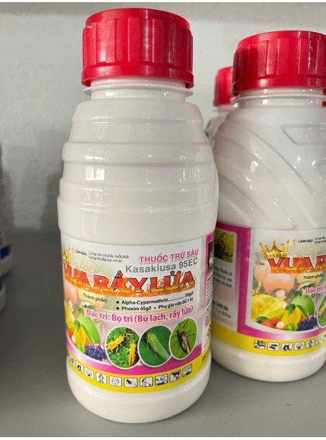 Vua rầy lửa