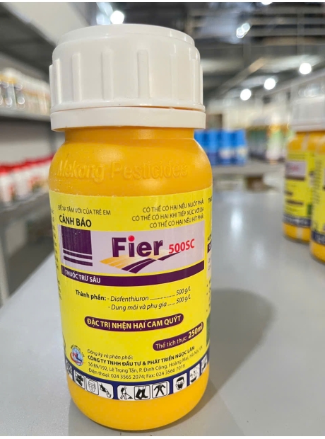 Fier 500 SC