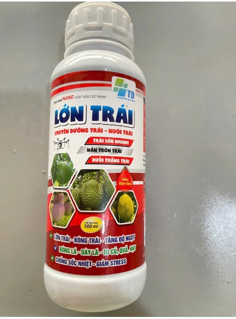 LỚN TRÁI