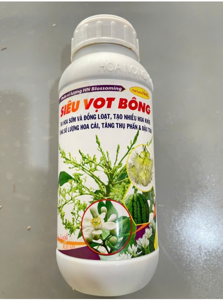Siêu vọt đọt