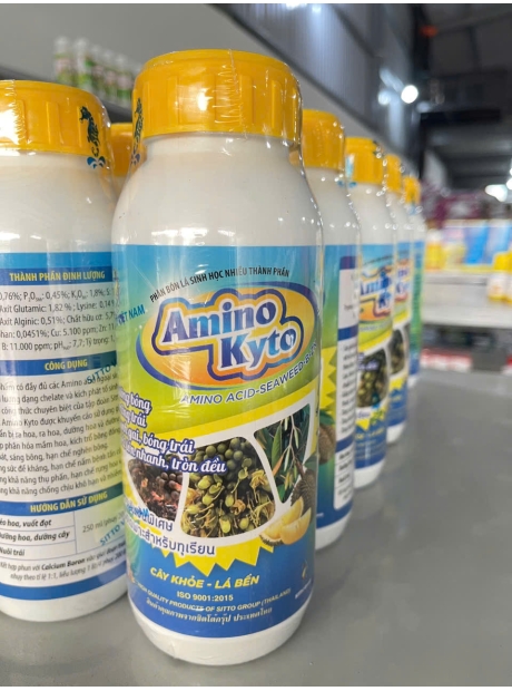 Amino Kito - phân bón lá sinh học