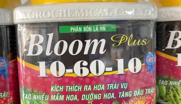 Phân bón cẩm mỹ chất lượng