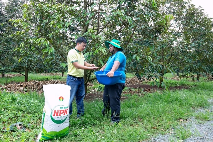 Việc áp dụng mức thuế suất 5% đối với mặt hàng phân bón sẽ mang lại lợi ích thiết thực cho ngành nông nghiệp, cho người nông dân và doanh nghiệp sản xuất trong nước. Ảnh: DCM.