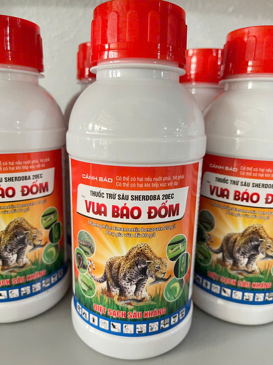 Phân bón cẩm mỹ chất lượng