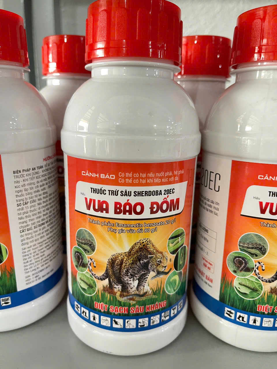 Phân bón cẩm mỹ chất lượng